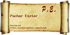 Pacher Eszter névjegykártya